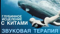 Open your voice