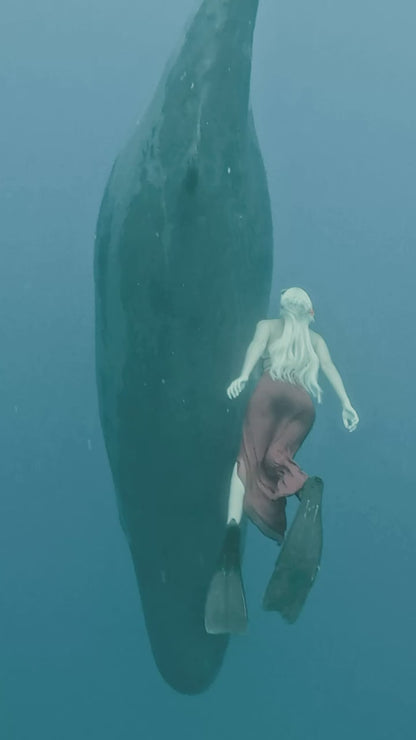PRIVATE RETREAT IN MAURITIUS. SOUND. OCEAN. WHALES. HEALING