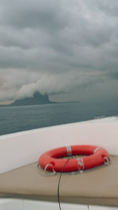 PRIVATE RETREAT IN MAURITIUS. SOUND. OCEAN. WHALES. HEALING